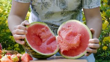 Team Gesund battelt mit Melone. Food Fight